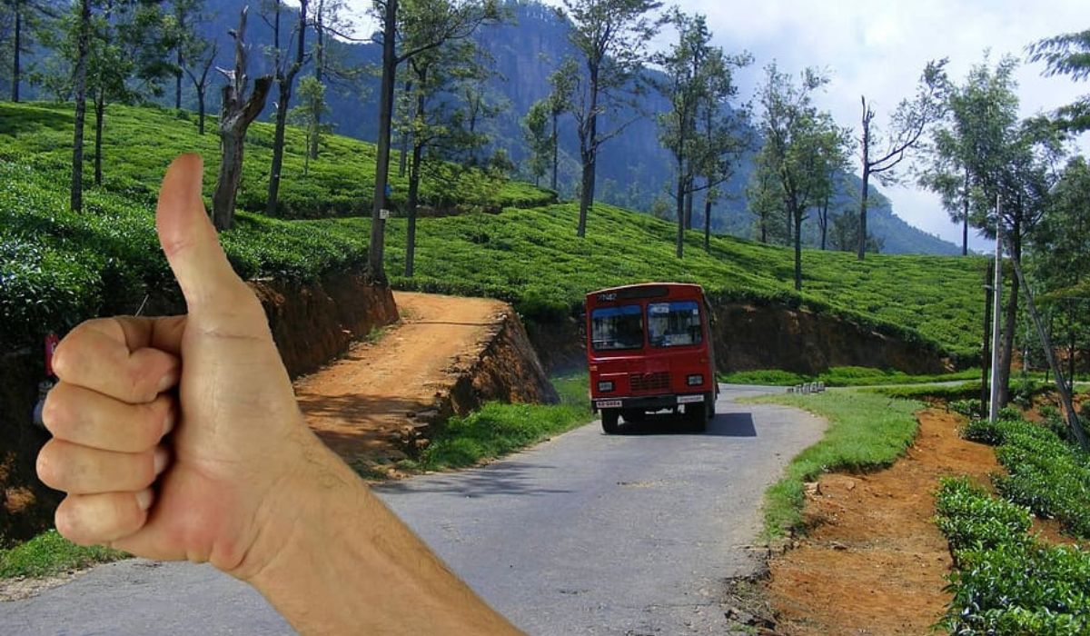 How to Travel from Cochin to Munnar