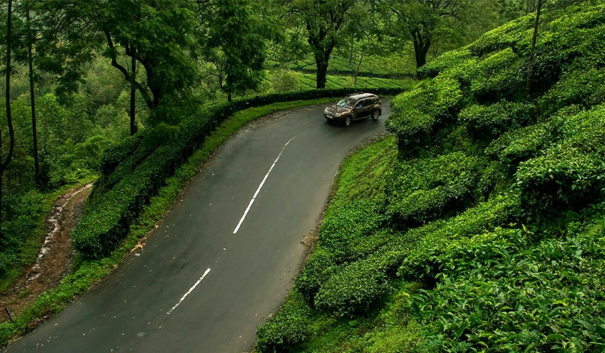 How to Travel from Cochin to Munnar